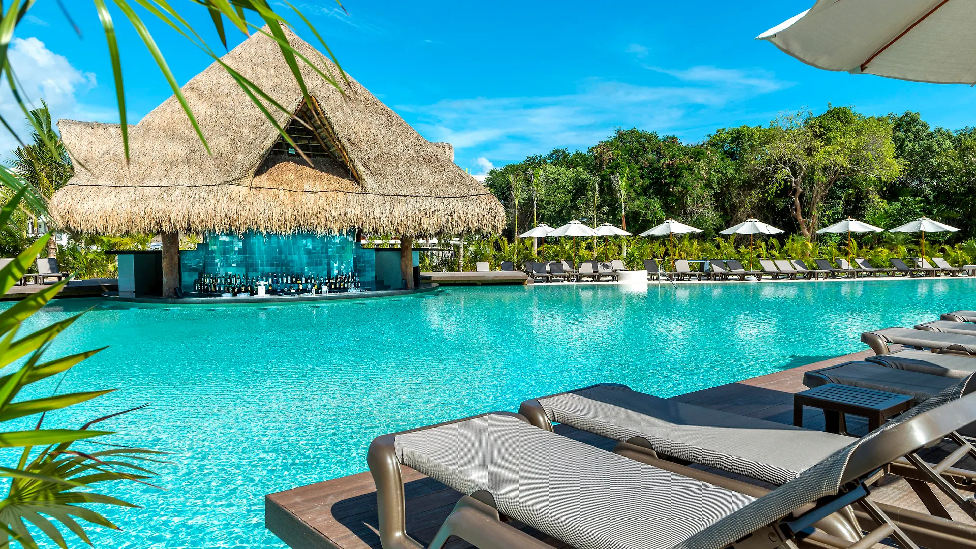Ocean Riviera Paradise El Beso Adults Only Playa del Carmen Hotel